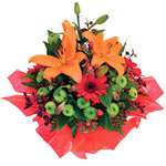 This adorable orange and green mini box includes c......  to Mosman