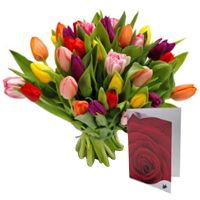 Aromatic Assorted Tulips Arrangement with Greeting Card