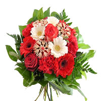 Color: white - red<br>When the flowers have wither...