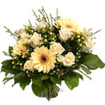 A mild and milky bouquet of champagne tones delivered tenderly in roses, Gerbera...