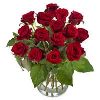 Mesmerizing Charm of Red Roses in a Vase
