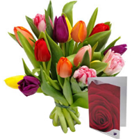 Stylish Multicolored Tulips Arrangement with Cute Greeting Card