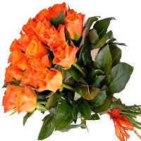 Orange roses in a bunch