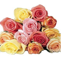 Cheerful Multicolor Roses