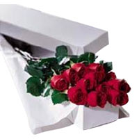 Impressive One Dozen Red Roses in a Box