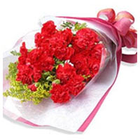 Dazzling 12 Red Carnations in a Bouquet