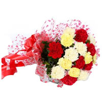 Blushing 12 Mixed Carnations Bouquet