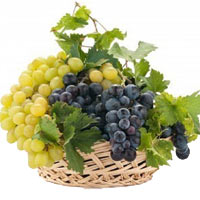 Sweet Grapes