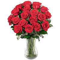 Lovely 18 Roses
