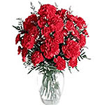 12 pieces Red Carnations in a Vase...