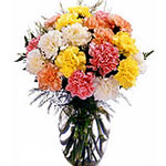12 Pieces Mixed Carnations