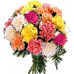 Bunch Of Mix Carnation