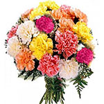 Bunch of 12 mix colour carnation with lots of gree...