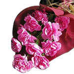 Send these 15 pink color carnation hand bunch with...