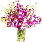 Send this beautiful bouquet of 12  purple orchid t...