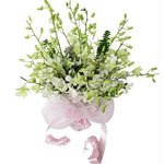 12 Pieces White Orchids s flowers bunch, wrapped b...