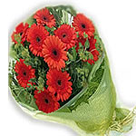 12 pcs Gerbera and Greenery Arrange in a Bouquet....