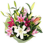 Lovely Lilies