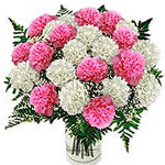  12 pcs multicolor carnations and greenery arrange...