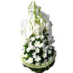 Pure Blooms Flower Baskets