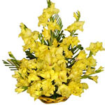 Yellow Gladulai Basket