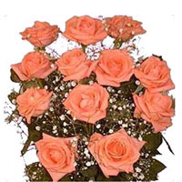 Charming Bouquet of 12 Peach Roses