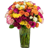 Aromatic 50 Multicolor Roses in a Vase