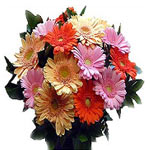 Fresh Multicolor Gerbera basket