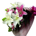 Mixed Pink & White Lilies in Bouquet