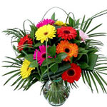 12 Mix Gerbera