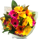 Bright Mix Gerberas Bouquet