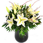 Charming Composition of Lilies