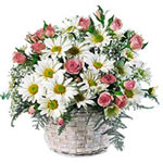Cheery white daisies and pink roses bring a bright day to someone special. This ...