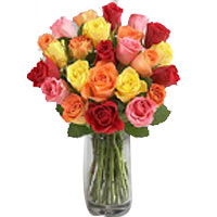12 Colourful Roses In Vase