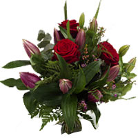 Stargrazer Lilies and Roses