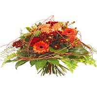 Send this beautiful Bouquet to your loved one....