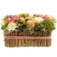 Send this arrangement to special someone....