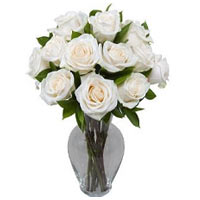 Bunch Of 15 White Rose