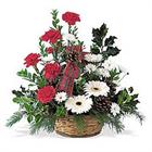 This Holiday flower gift basket is filled with fresh flowers, holly and pinecone...