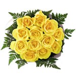 12 Yellow Roses 