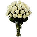 Dazzling White Roses For The Holy Day