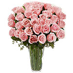Dreamy 36 Pink Roses