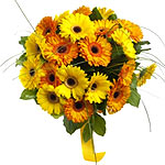 Breathtaking Yellow Gerberas with Greens