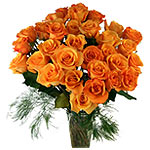 Magnificent Orange Roses for X-Mas