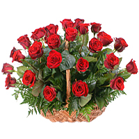 Basket of 24 Red Roses