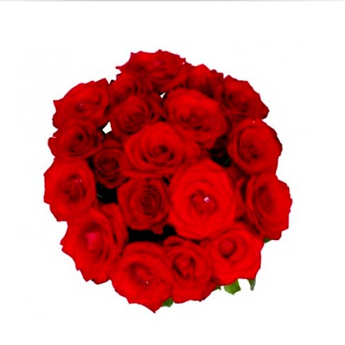 Send a treat to any flower lover by gifting this 18 Red Roses Bouquet...