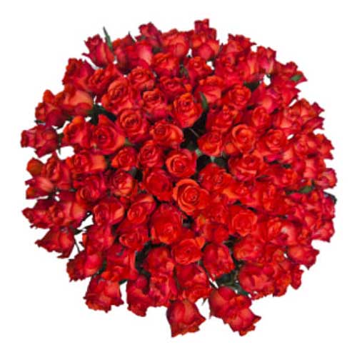 Let the 100 Red Roses bouquet set the standard for......  to Fortaleza