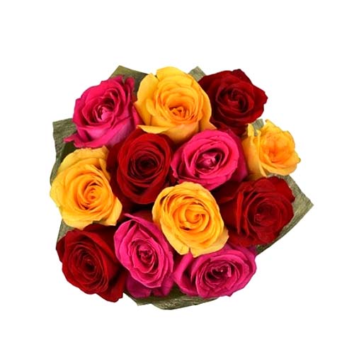 12 Mixed Roses