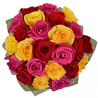 24 Mixed Roses