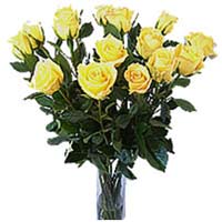 Delight of Love. Dozen Long Stem Yellow Roses with Filler Greens ...